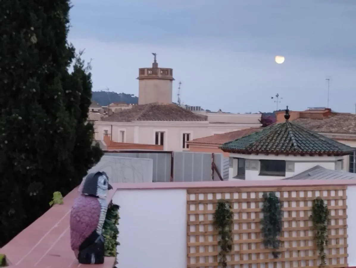 Apartaments L'Arc Palafrugell Apartment